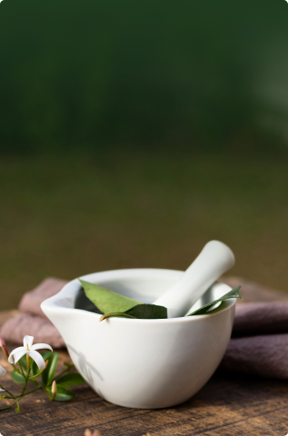 Mortar and pestle with Ayurvedic herbs